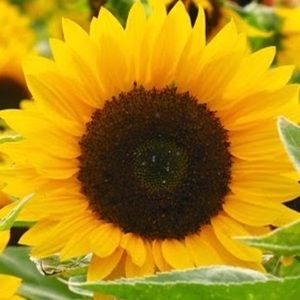 Meet your Posher, Kaitlynn